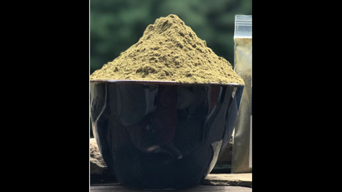 Screenshot from Pious Lion website.