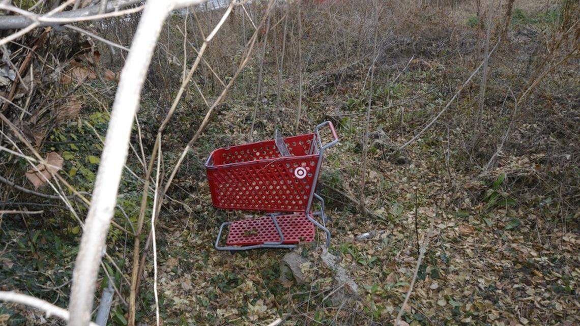 Police in Fairfax County, Virginia, said they found human remains in a container close to a Target shopping cart in a wooded area on Wednesday, Dec. 15. It’s the fourth body police have found since August, spurring concerns there might be a serial killer on the loose.