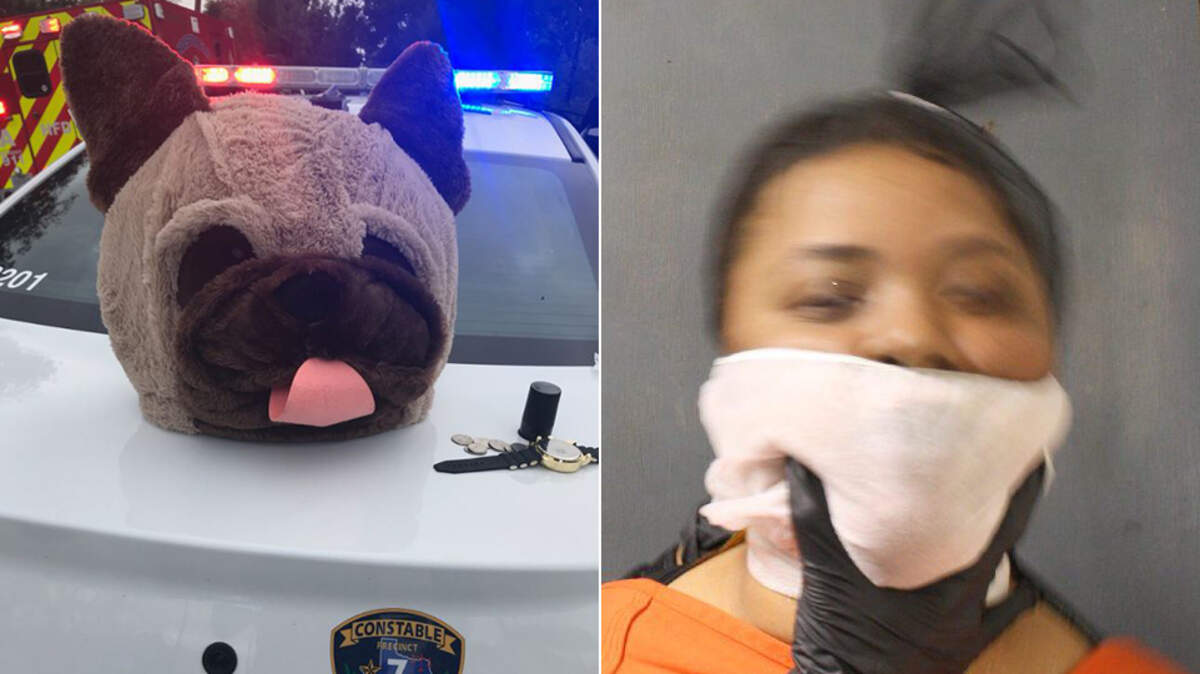 Colleen Dickens, 30, is charged with robbery and felony evading arrest in Harris County after police say she donned a furry dog head mask to rob a gas station before leading deputies on a chase through southeast Houston.