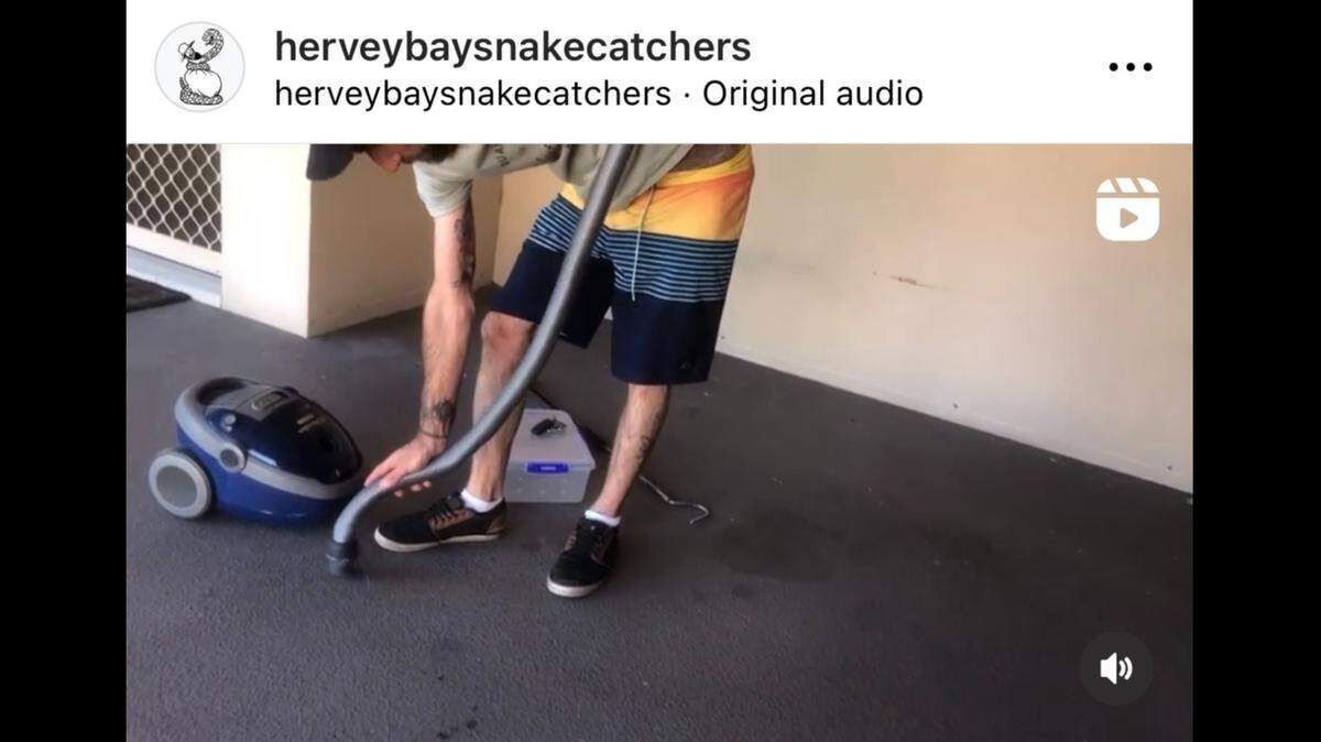 A woman sucked a snake into a vacuum in Australia, video shows. A snake catcher was then called to assist.