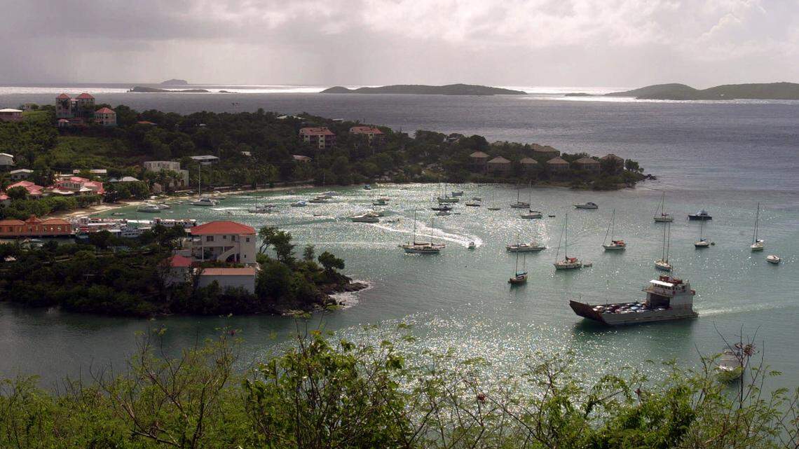 Former U.S. champion swimmer Jamie Cail died suddenly on St. John, prompting an investigation, police said. (AP Photo/Tomas van Houtryve, File)