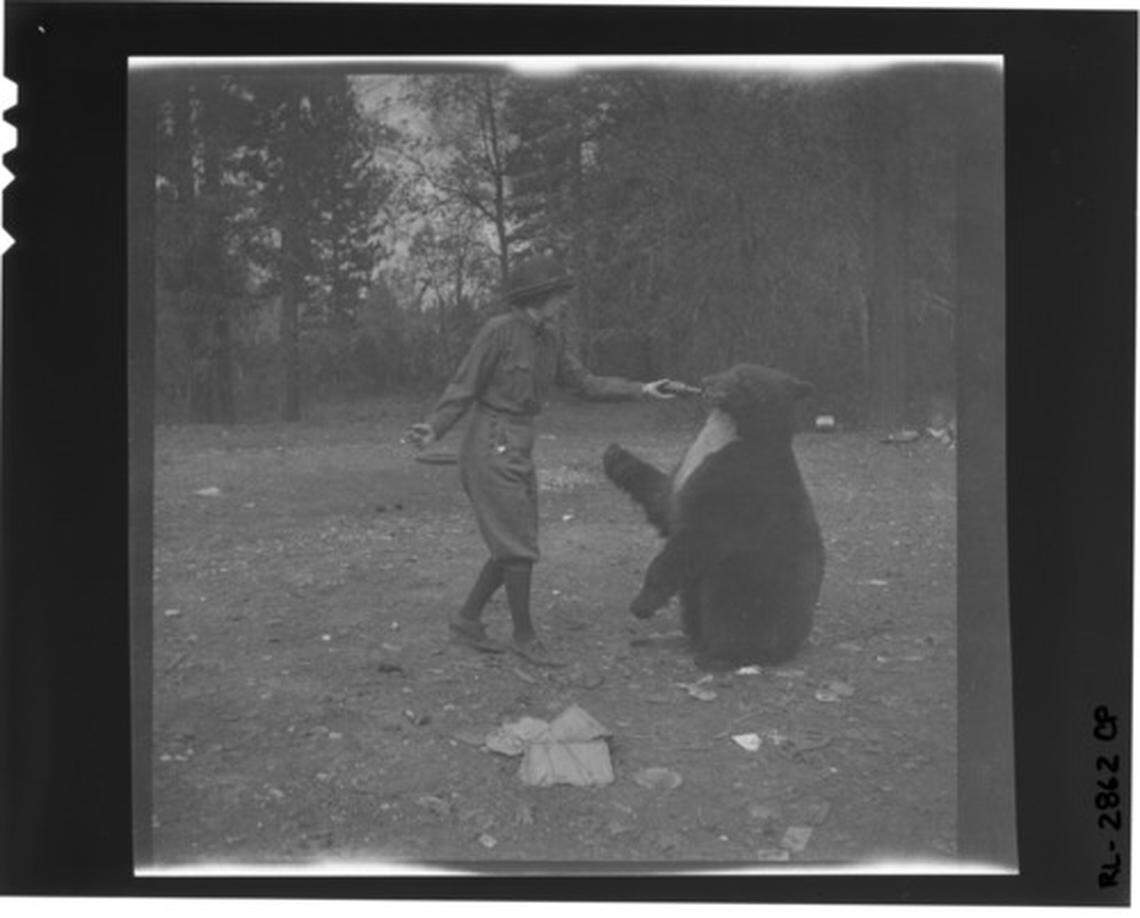 A woman feeds a bear from a bottle in Yosemite National Park on an unknown date.