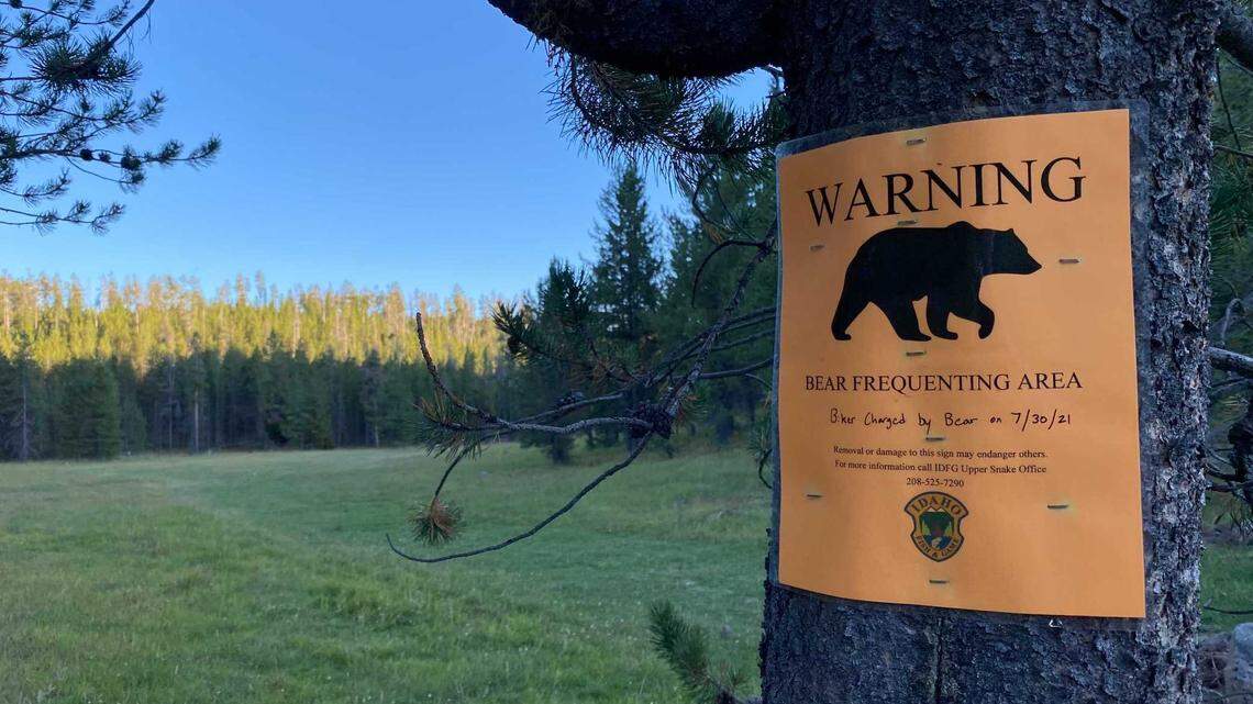 Signs like this one, photographed Aug. 28, 2021, warned visitors around Island Park of a grizzly bear frequenting the area.