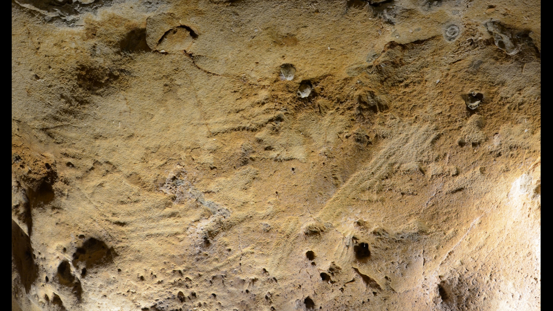 The finger marks were found among animal marks on the walls, experts said.