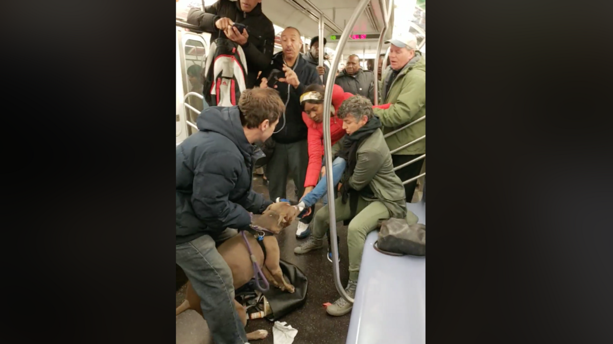 A video shows a pit bull chomping down on a woman's shoe in a New York City subway train. Witnesses say the incident happened Friday at around 4 p.m. after the woman asked the dog's owner to move his pit bull that he put in a subway seat.