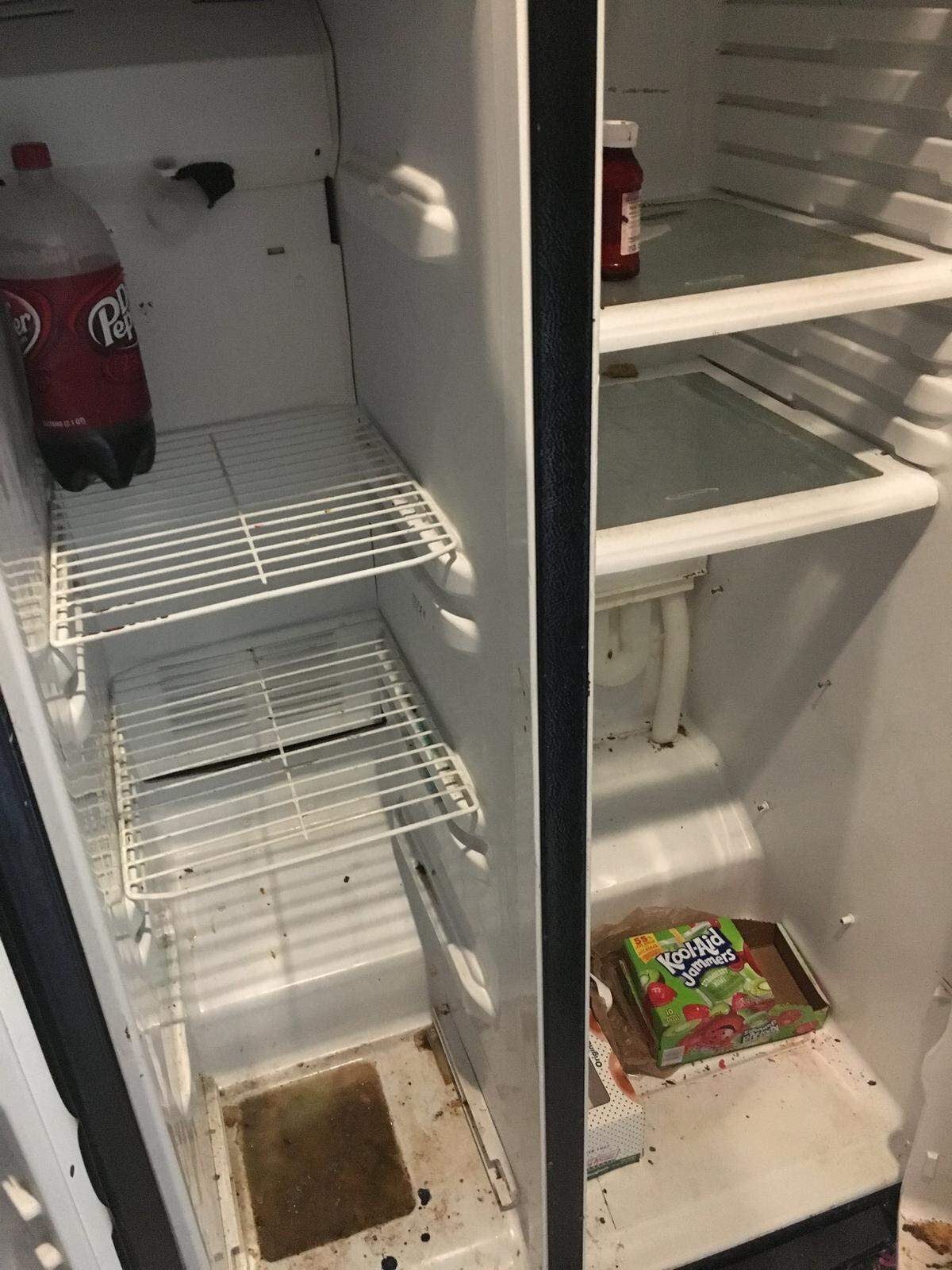 The contents of the refrigerator at the home.