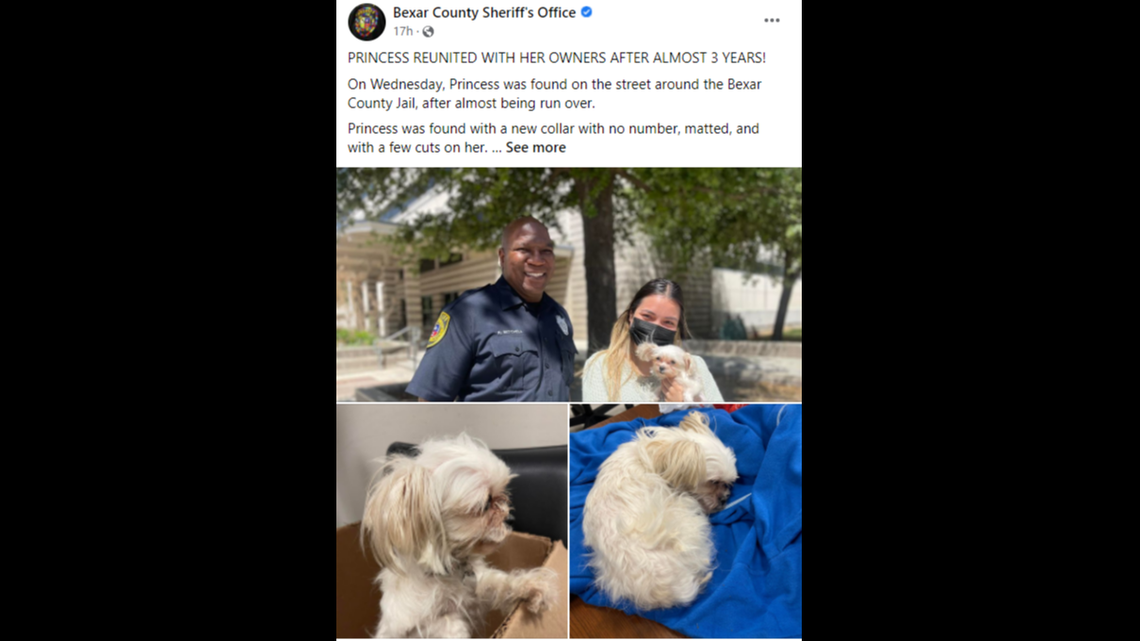 Princess the dog was reunited with her owner this week after she was stolen three years ago.