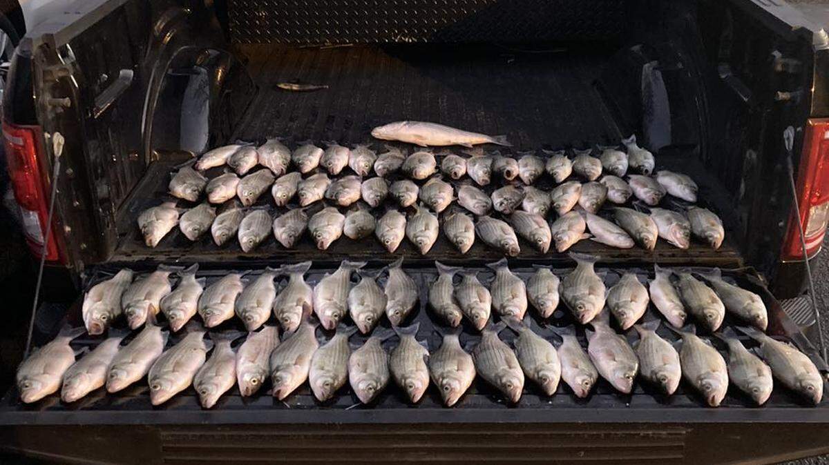 The legal daily fishing limit for catching bass on the Coosa River is 15, according to the Georgia Department of Natural Resources.