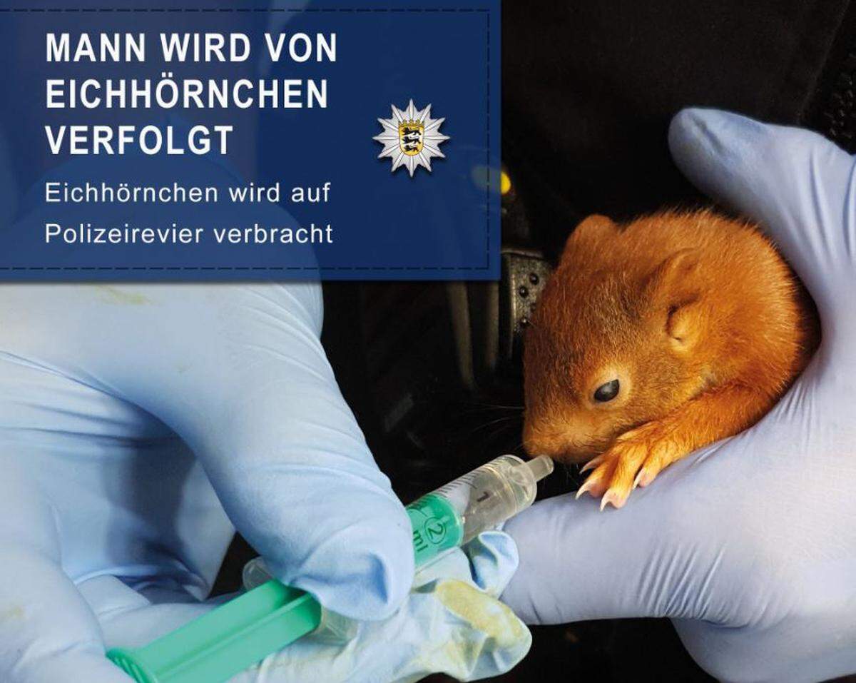 Officers fed the little critter that chased a terrified German man before sending him to an animal rescue center.