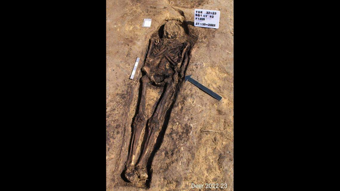 Twenty ancient tombs filled with a variety of artifacts were discovered near the Egyptian coastline, according to government officials.