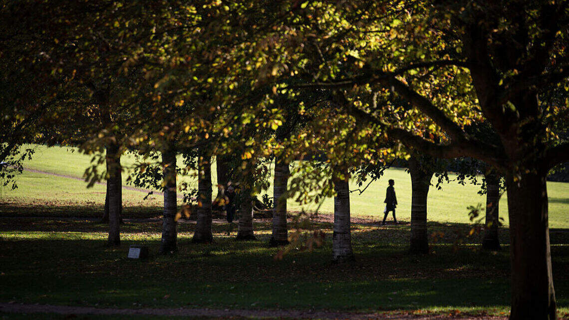 New book released today says it’s OK to be late sometimes: The case for everyday slowmaxxing
