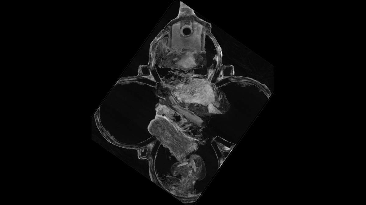 Researchers are unable to test the bones further without destroying the pendant.