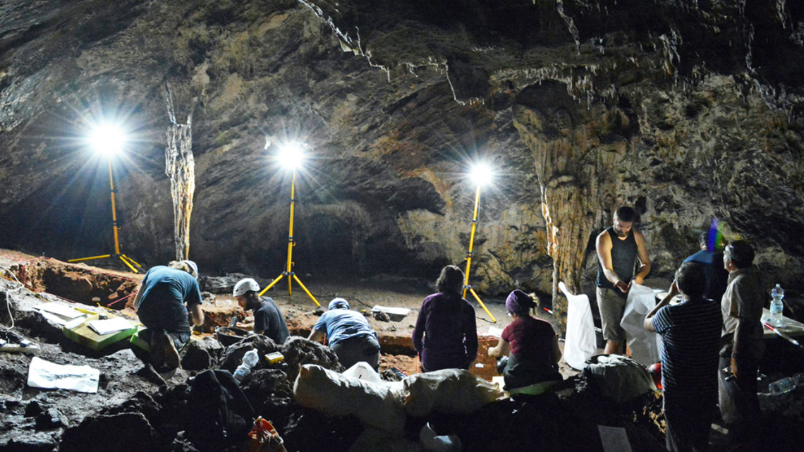 Ancient seashells discovered in a Spanish cave were likely worn as decorations by Paleolithic people, researchers said.