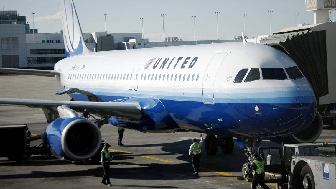 A report says a dog suffocated on a United Airlines flight in March.
