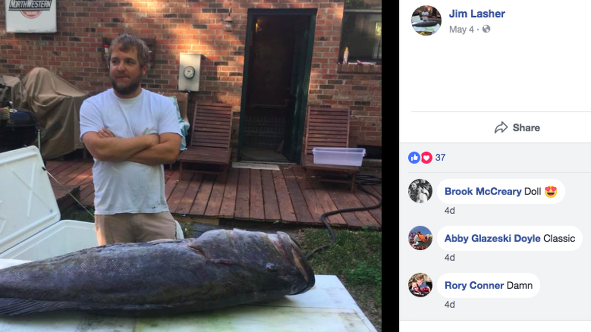 Jim Lasher, a chef at Home Team BBQ on Sullivan’s Island, S.C., updated his Facebook profile picture with this shot of the record gag grouper he and friends caught 40 miles off the coast of Charleston on May 1. The fish soon became an enjoyable meal for him and his  friends.