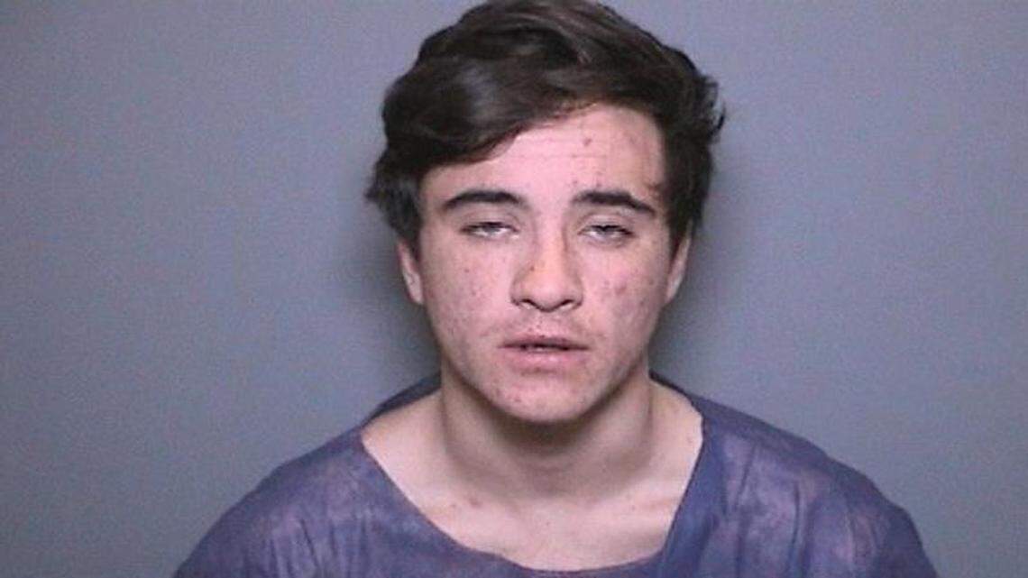 Aquinas Kasbar, a Newport Beach 19-year-old, is set to plead guilty to unlawfully taking an endangered species after he stole Isaac — a prized 32-year-old ring-tailed lemur — from a zoo, federal prosecutors said.