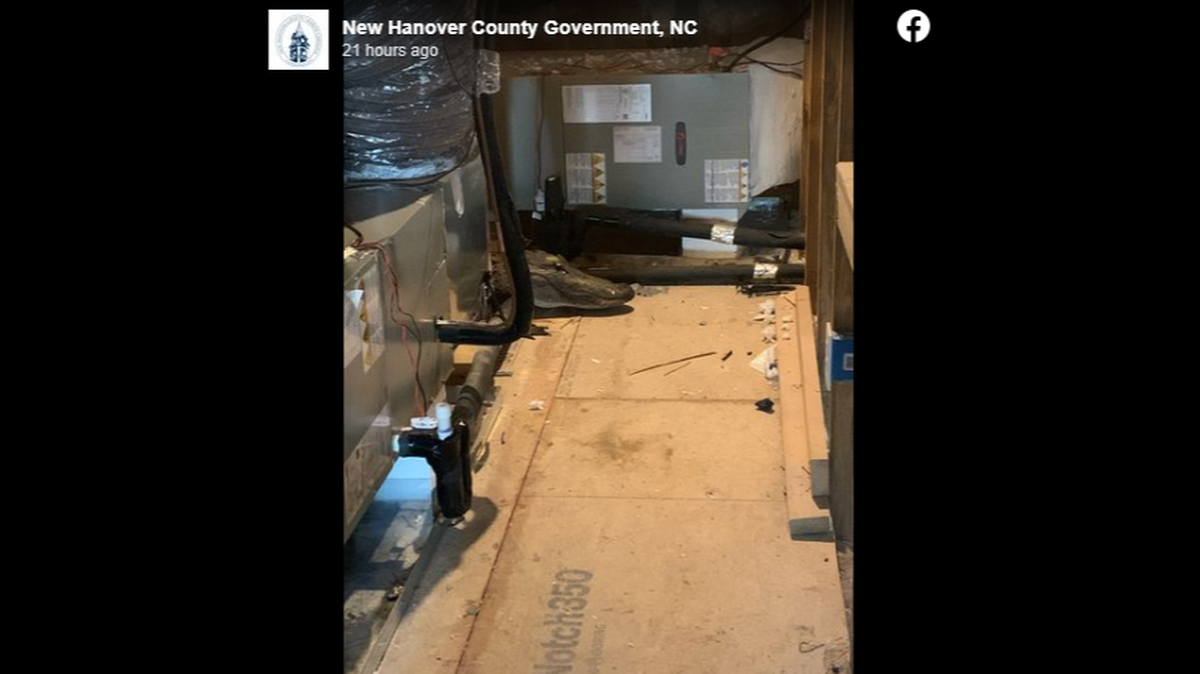The alligator likely got into the house through a door that had been left open, the county said.