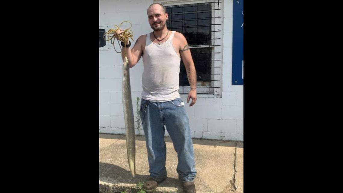 Carlin Allison of Doniphan, Missouri, caught a state-record eel in the Current River that weighed 6 pounds, 15 ounces. Photo from Carlin Allison via the Missouri Department of Conservation.