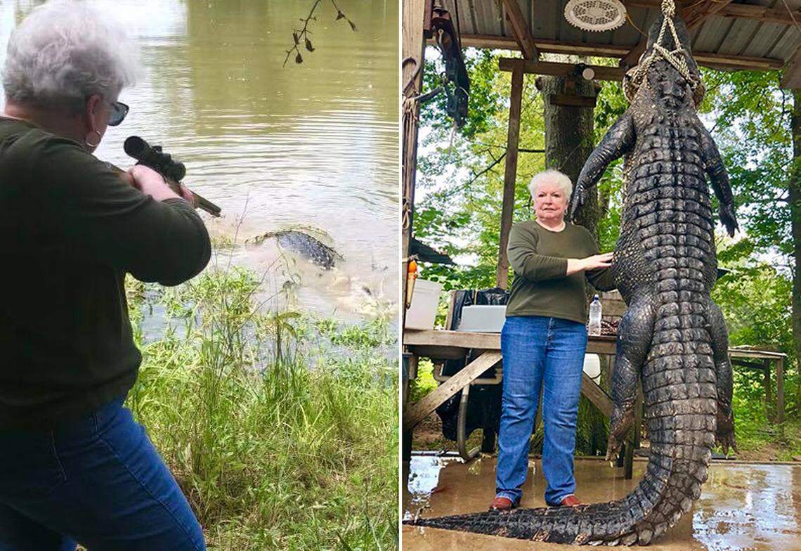 Judy B. Cochran, the mayor of Livingston, Texas, killed a 12-foot, 5890-pound alligator that she says killed her miniature horse three years ago.