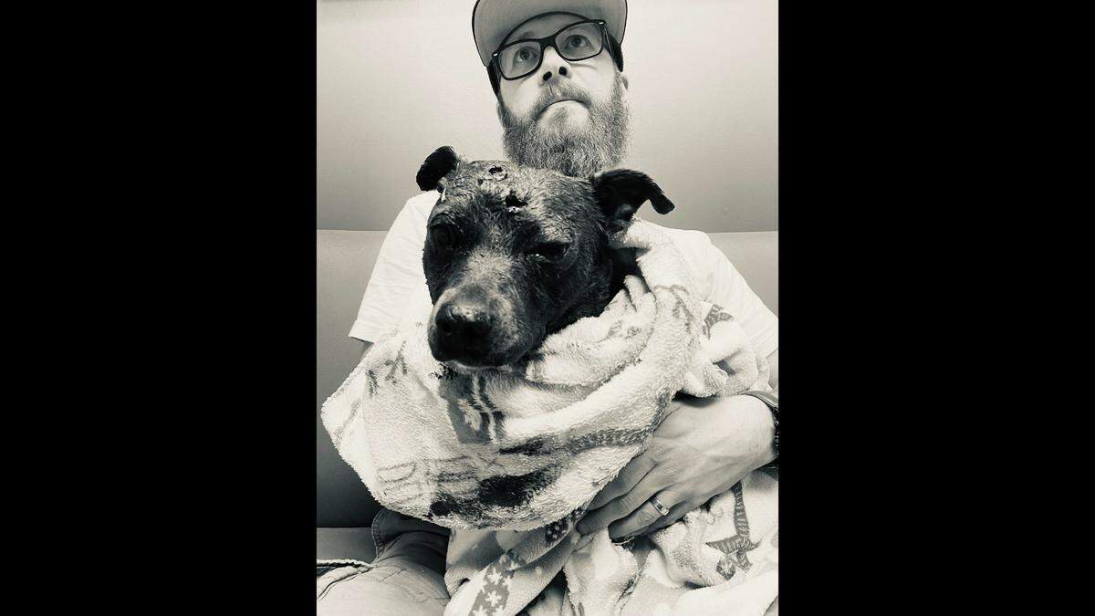 Lady was “a bloody mess” after her fight with a mountain lion, Virginia Havens said. She had labored breathing, a swollen eye and holes in her skull.