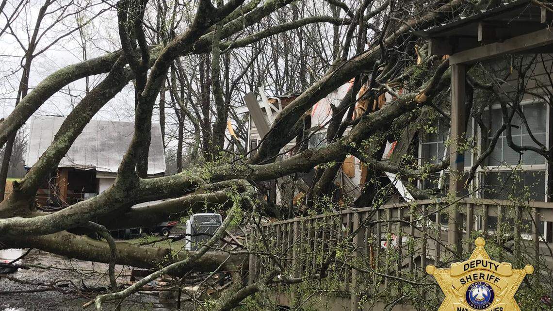 A family of eight got trapped inside their home after a tree crashed through their roof during a severe thunderstorm in Powhatan, Louisiana.