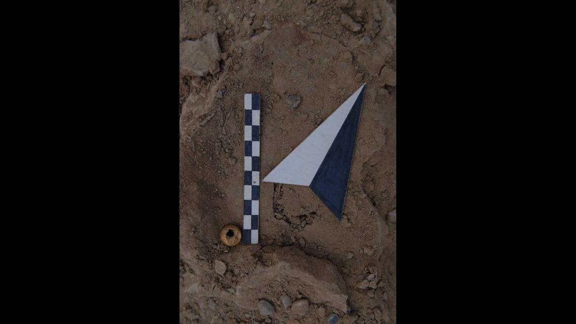 A rare piece of a gold necklace was excavated.