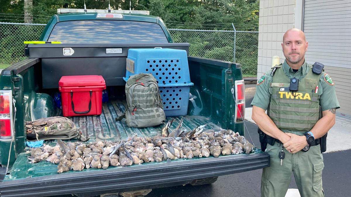 Officer Derrick Gray with Tennessee Wildlife Resources confiscated 74 doves from a hunter accused of using bait to lure the birds.