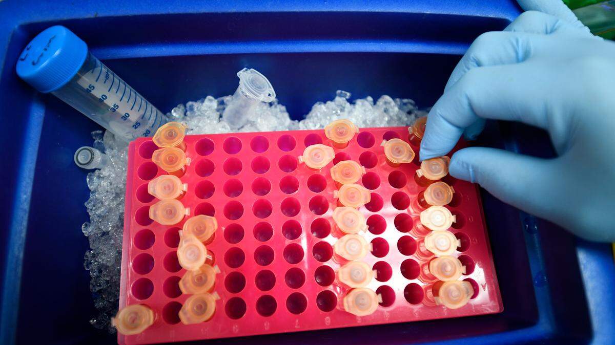 A New Jersey man was sentenced to six years in prison Wednesday after pleading guilty to conspiracy and money laundering for his role in giving doctors cash, strippers, cars and prostitutes for sending patients’ blood work to Biodiagnostic Laboratory Services.