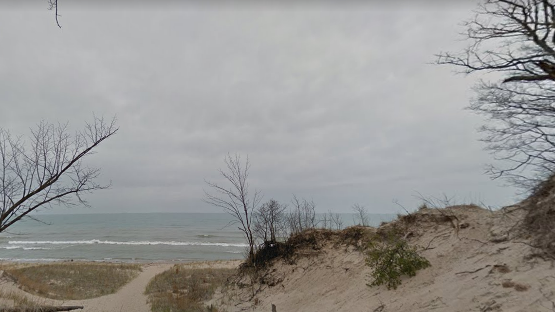 A 19-year-old drowned in Lake Michigan after his cousin was rescued by beachgoers, Indiana officials said.