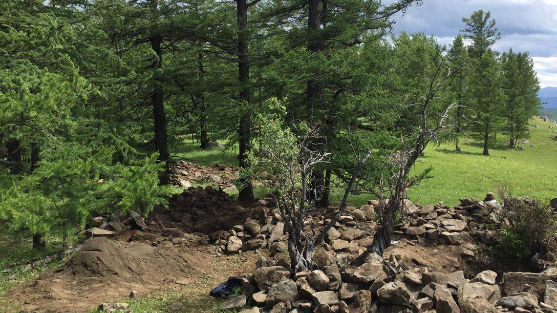 An ancient Mongolian cemetery was recently excavated, revealing early inhabitants of the region drank yak milk, according to a new study.