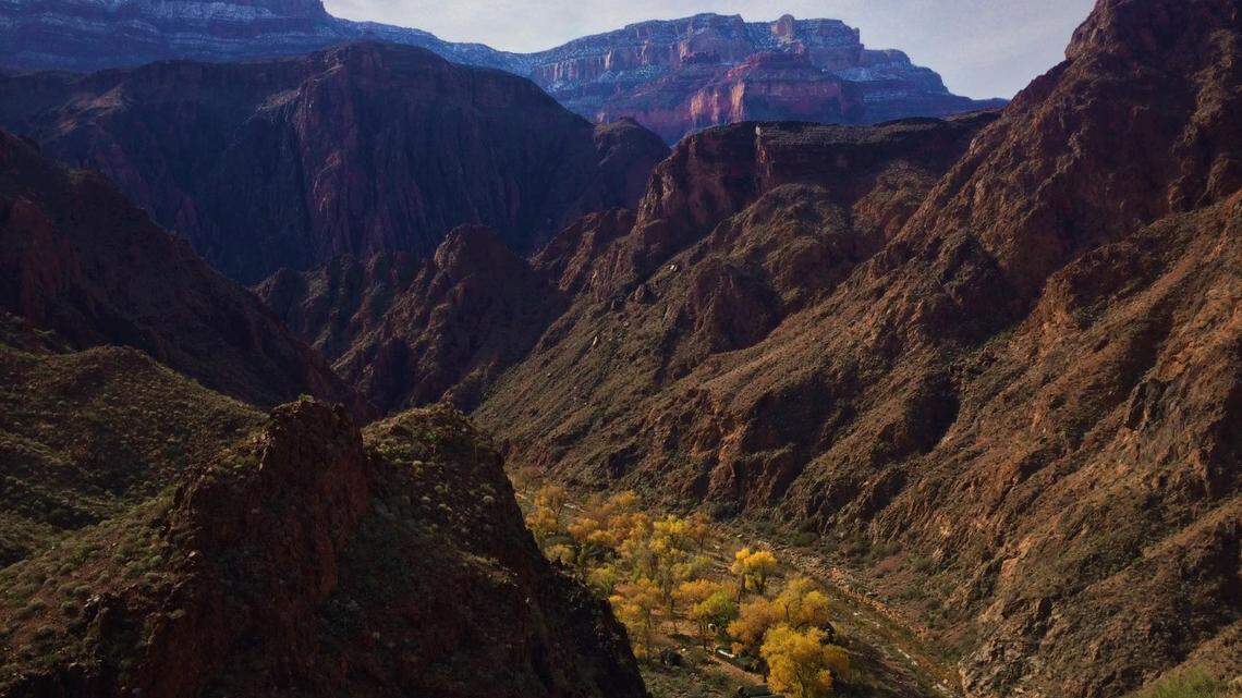 A Washington man pleaded guilty to violating group size limits, Grand Canyon officials said.