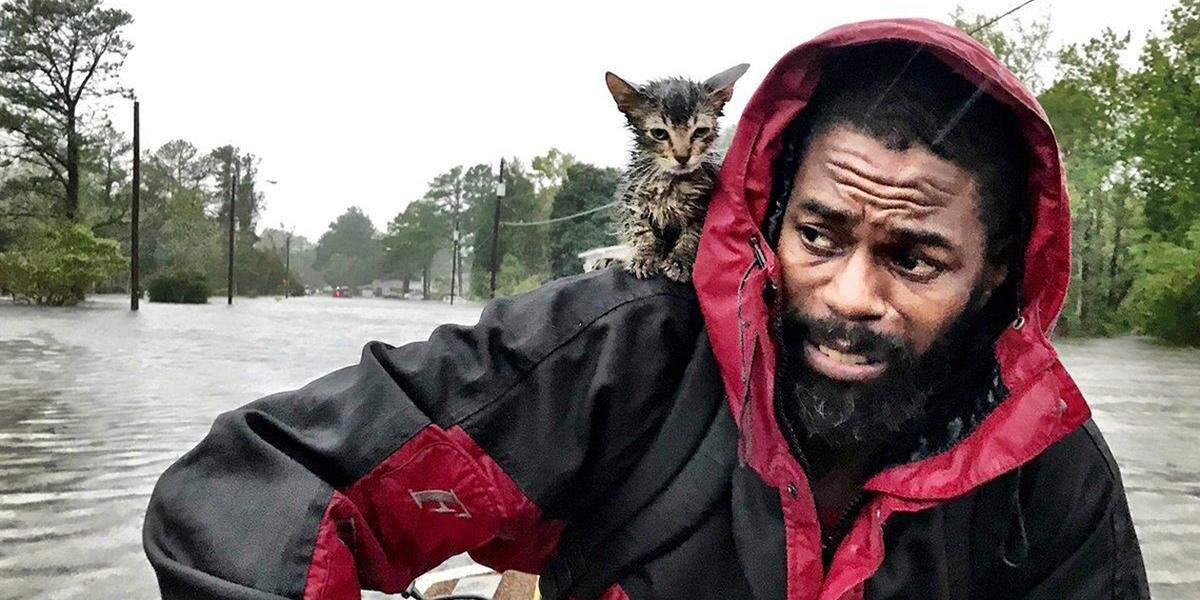 Robert Simmons Jr. and his kitten, Survivor, are rescued from floodwaters in New Bern, NC, after Hurricane Florence dumped several inches of rain in the area overnight, Sept. 14, 2018. Hundreds were rescued from eastern North Carolina in the wake of the slow-moving storm.