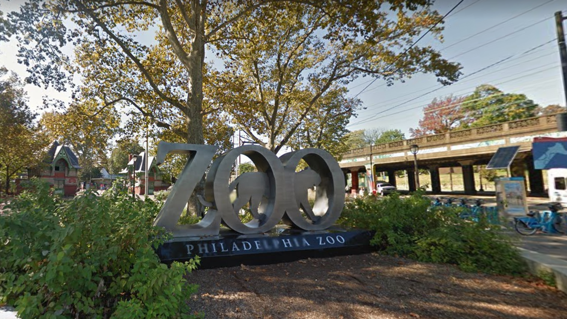 A pair of sloth bears, members of a “threatened” species, were born at a zoo in Philadelphia and named for hometown heroes.