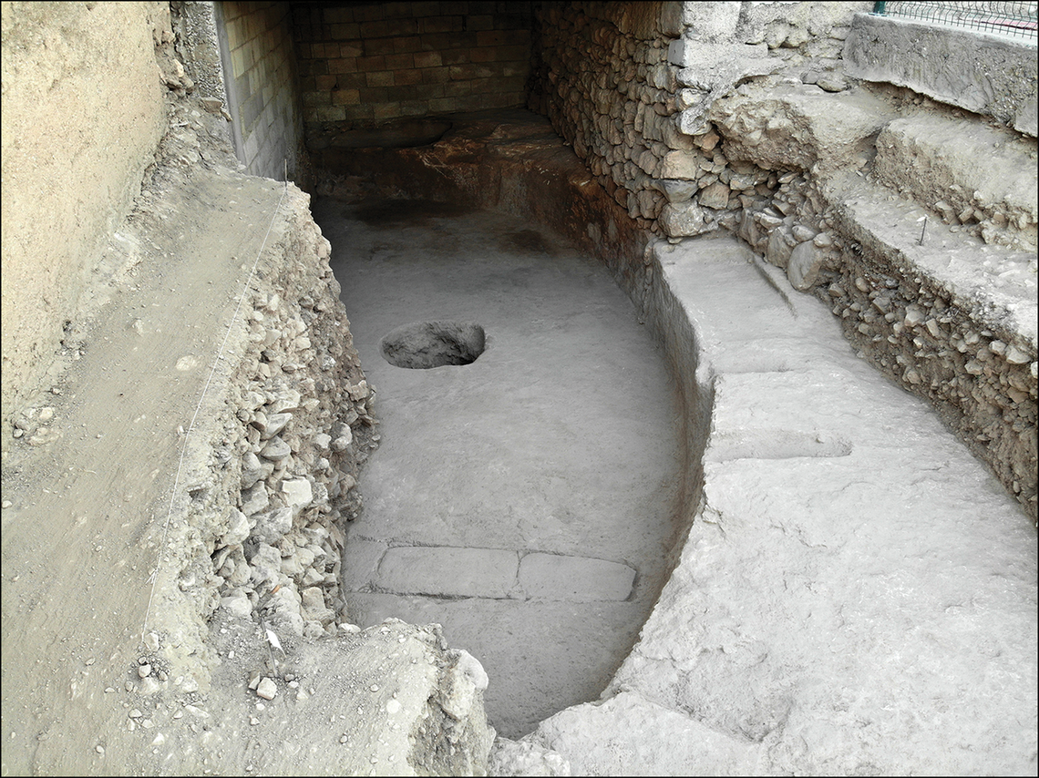 The ancient carvings were discovered in a pre-pottery Neolithic communal building in Turkey.