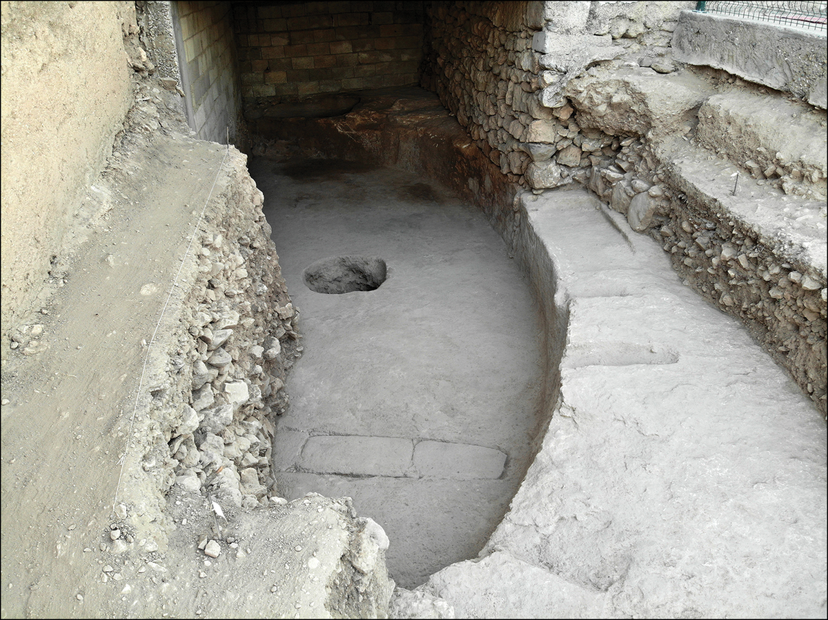 The ancient carvings were discovered in a pre-pottery Neolithic communal building in Turkey.