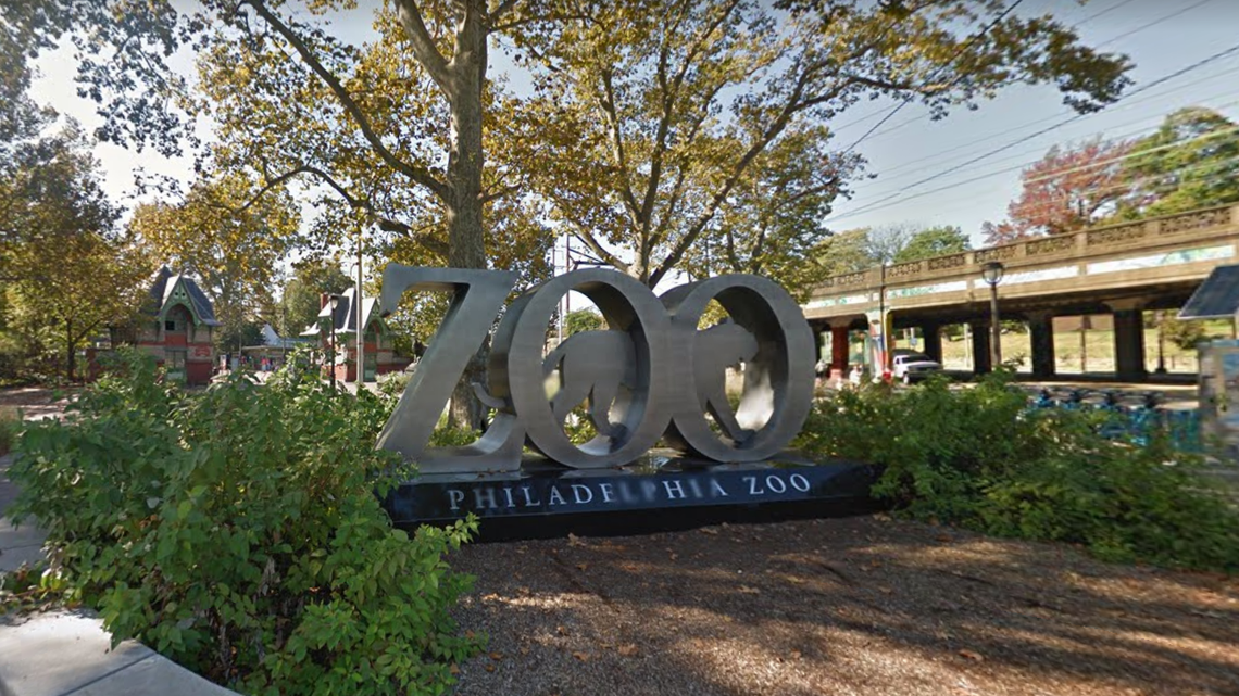 Five meerkats died at the Philadelphia Zoo after they were likely accidentally poisoned, officials said.