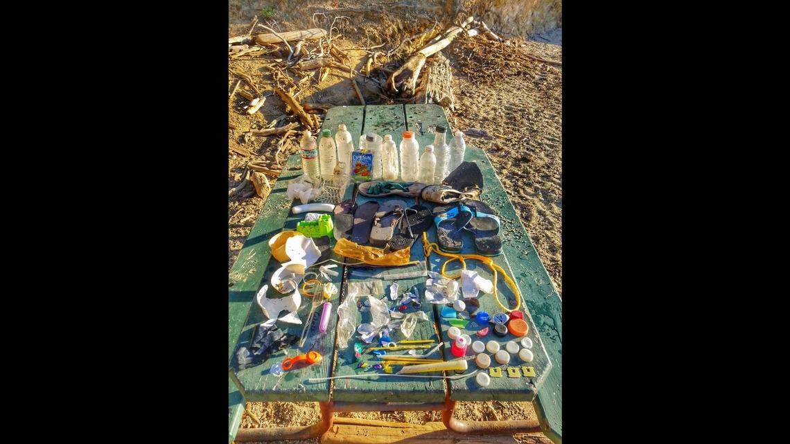 Litter pulled from the shores of Whiskeytown Lake by a park employee.