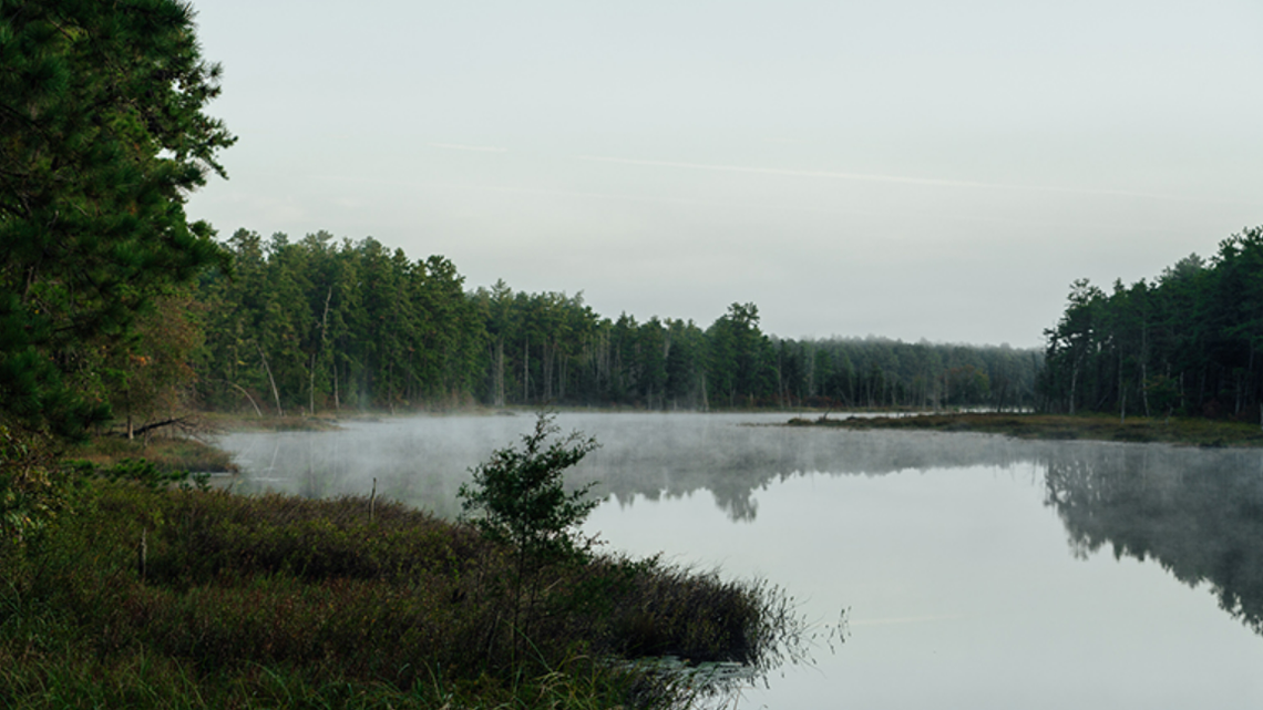 Human remains found in a remote section of the Wharton State Forest in New Jersey have been identified as those of a 68-year-old man reported missing four months ago, according to the Cherry Hill Police Department.