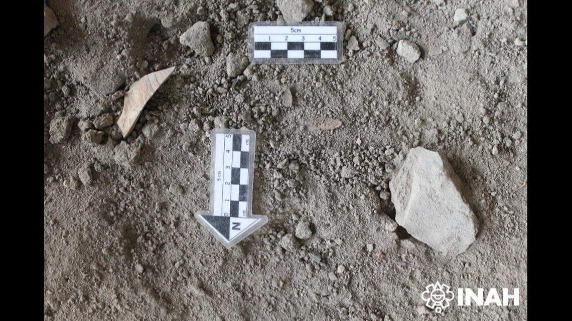 Pumpkin seed remains were among the diet indicators found inside the cave.