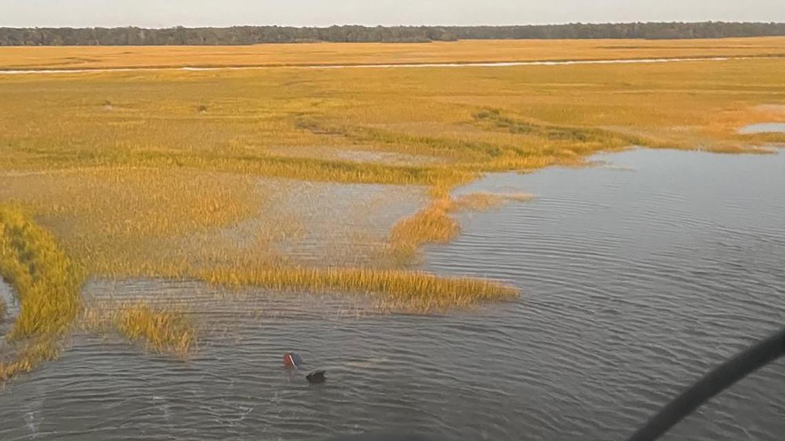 The pilot of a crashed plane was rescued from a marsh near Savannah, Georgia, the U.S. Coast Guard said.