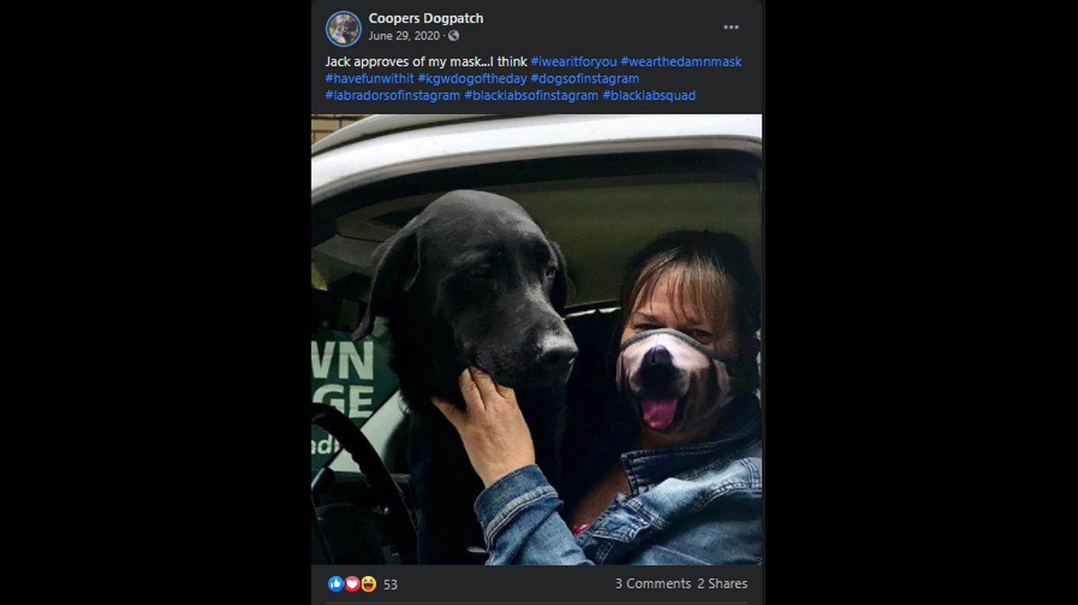 A thief drove off with a doggy daycare’s van that had a dozen dogs and the owner’s purse and cellphone inside. Employees tracked the iPhone to find the van.