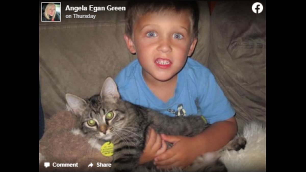 Derek was first adopted by the Green family as a childhood pet more than 11 years ago.