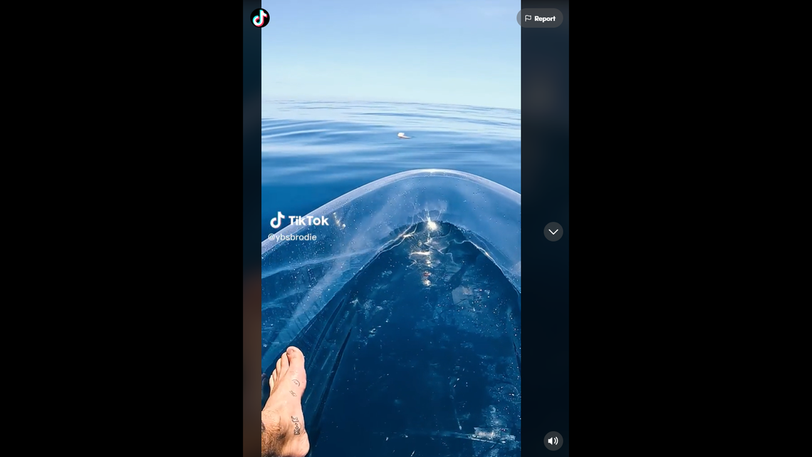 Brodie Moss, an Australian YouTuber, shared the video across his social media platforms.