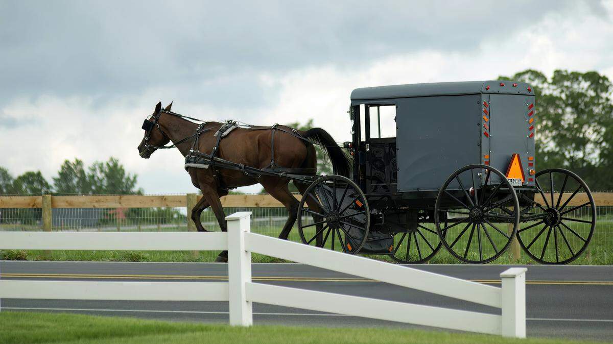 Six people were thrown from the buggy (not pictured), including four children, state police say.
