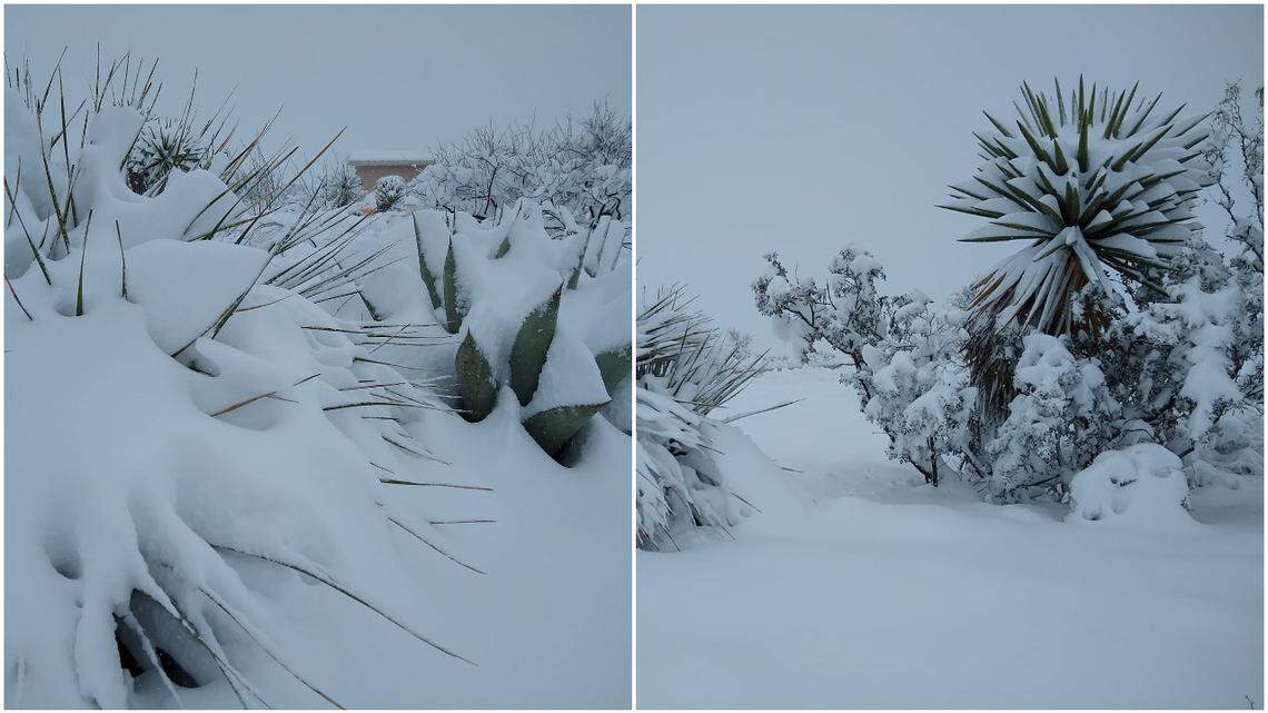 Big Bend National Park was closed off to visitors as a winter storm rolled over West Texas. Photo from Big Bend National Park on Facebook.