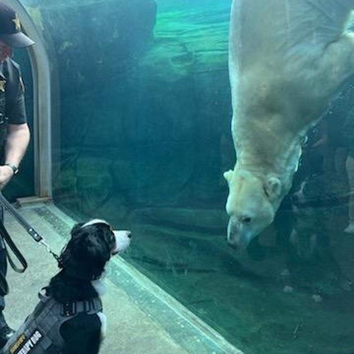 Otto and Lee photographed together