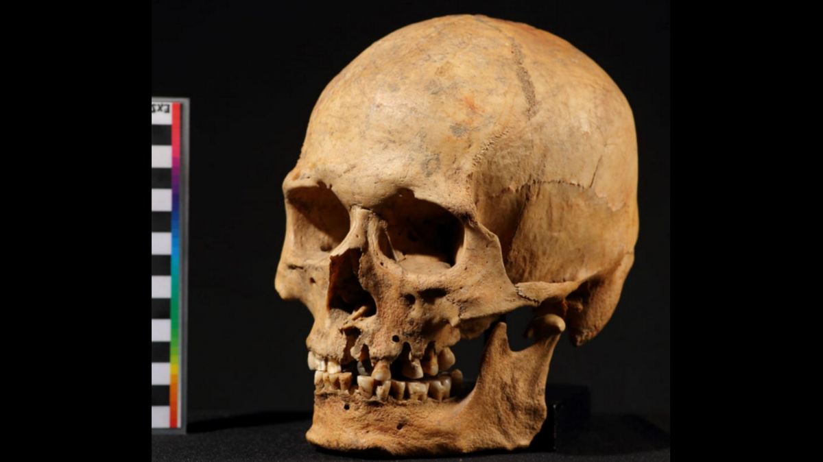 A newfound prehistoric population in Siberia reveals early humans undertook extensive migrations, a new study says.