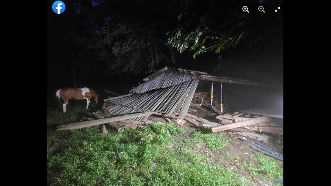 Once free, Cody was given an apple for his patience during the rescue, officials said.