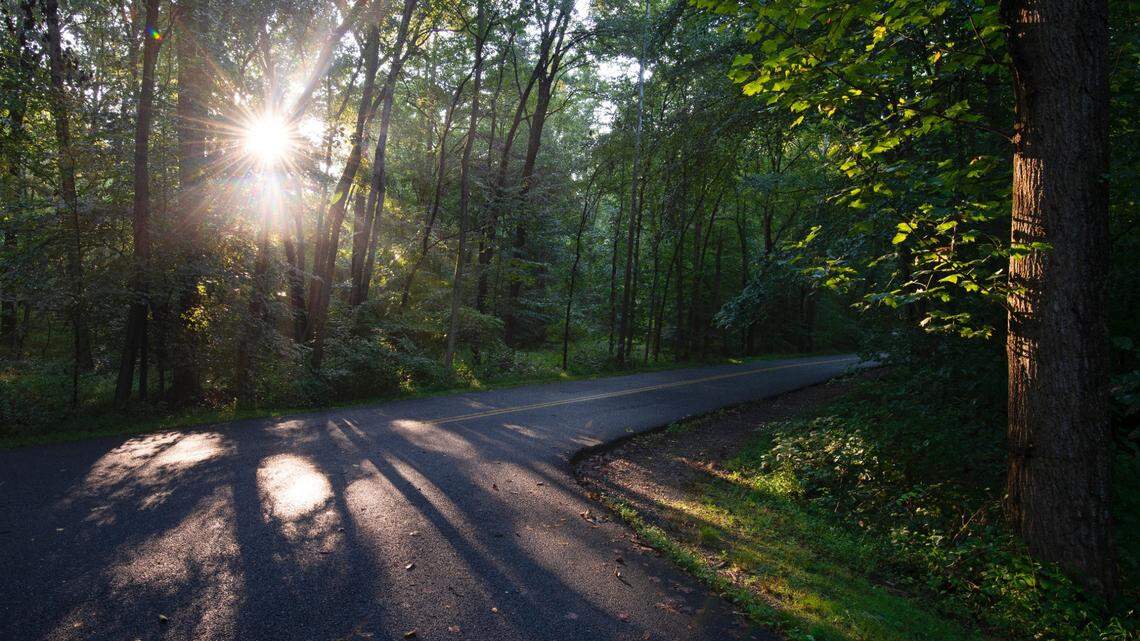 Two hunters found human skeletal remains alongside a rifle and backpack in the woods of Maryland, police said.