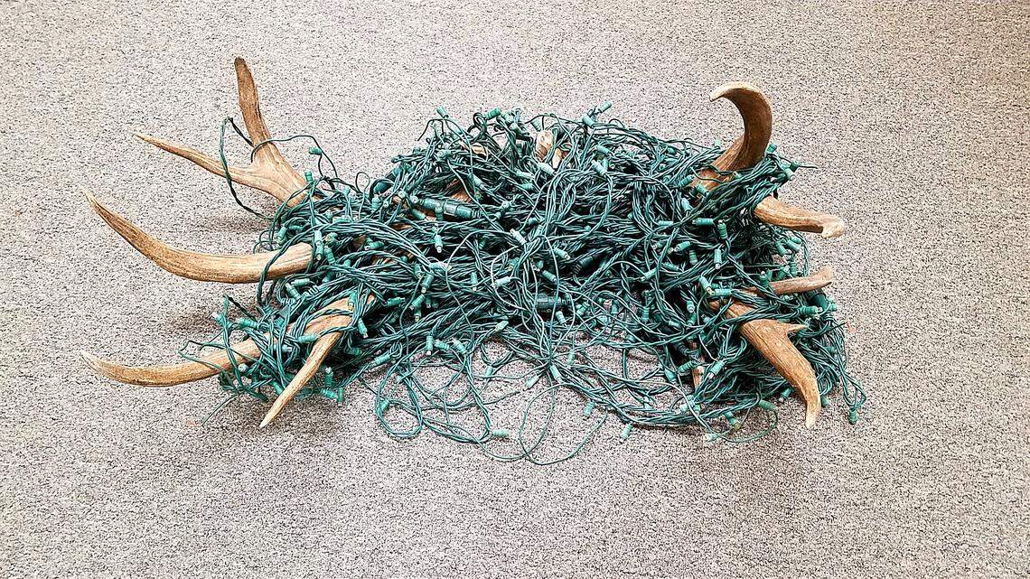 It’s not just nets: Christmas lights and other seasonal decorations have been known to ensnare wildlife as well, Vogrin said.